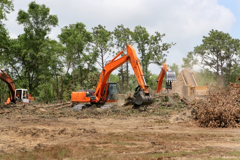 Professional Tree Service in Encinitas CA Professional Tree Service in Encinitas CA